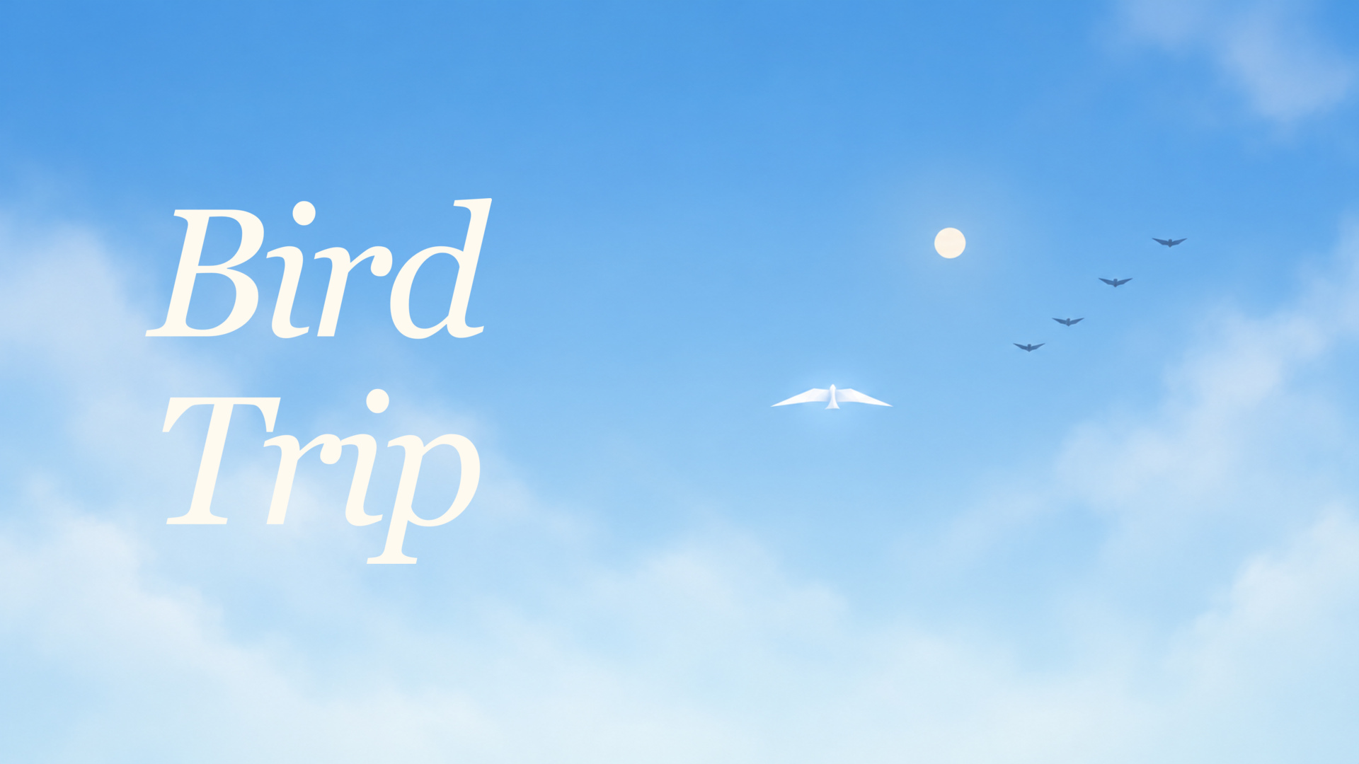 Bird Trip